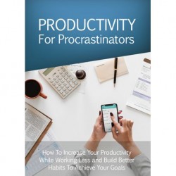 Productivity for Procrastinators  VIP Package